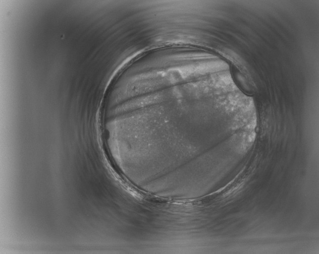 X0000067460798200604281827