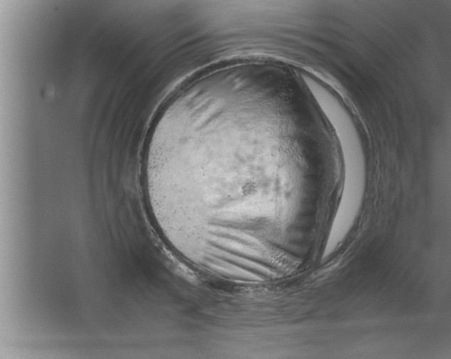 X0000067460799200604281827