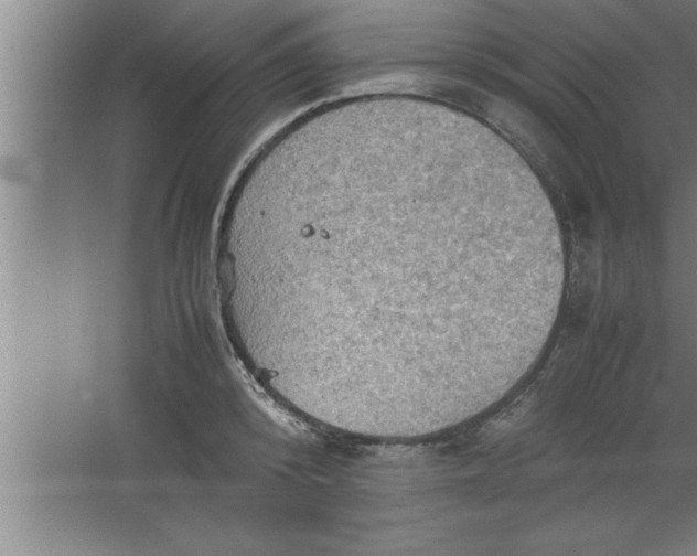 X0000067460800200604281827