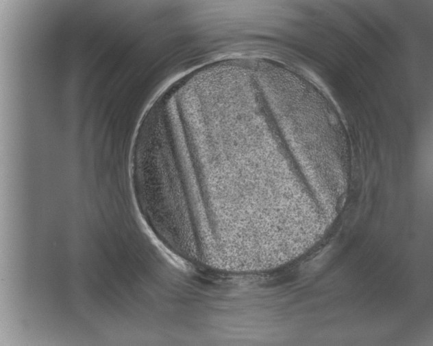 X0000067460803200604281827