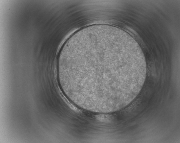 X0000067460804200604281827