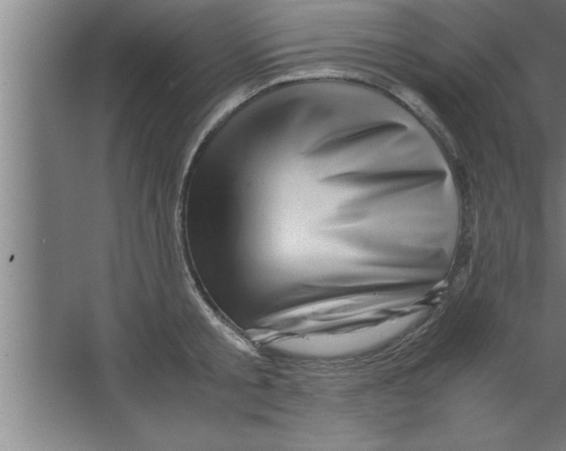 X0000067460805200604281827