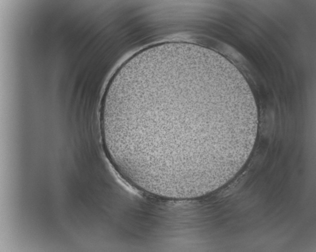 X0000067460808200604281826