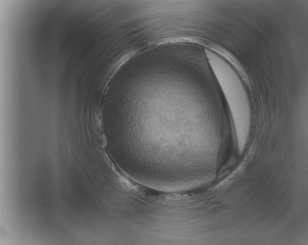 X0000067460809200604281826