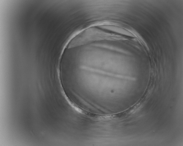 X0000067460813200604281826