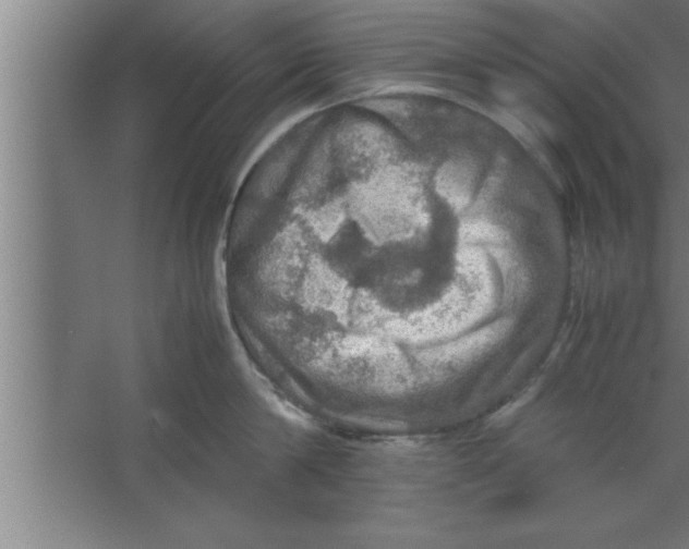 X0000067460814200604281826