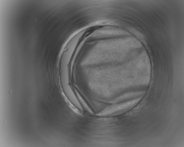 X0000067460816200604281826