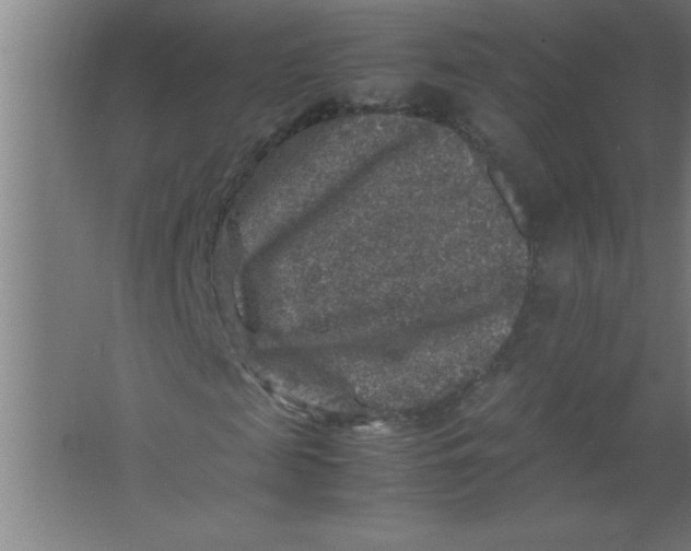 X0000067460817200604281826