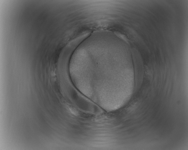 X0000067460818200604281826