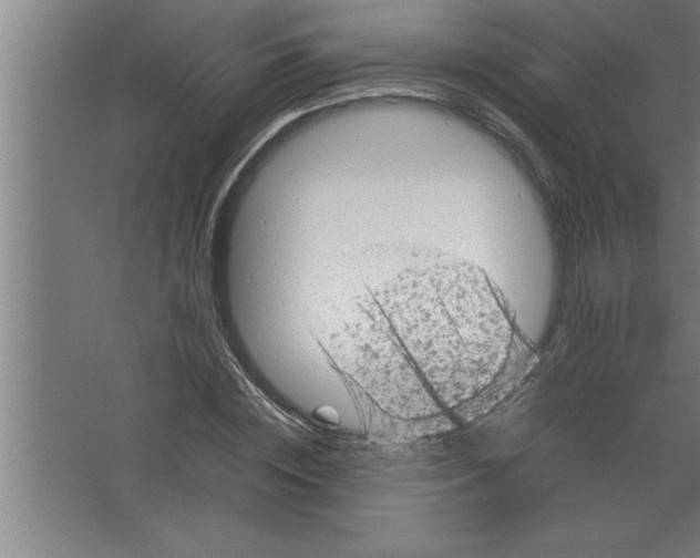 X0000067460828200604281826