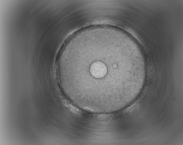 X0000067460832200604281826