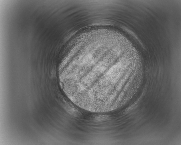 X0000067460833200604281826