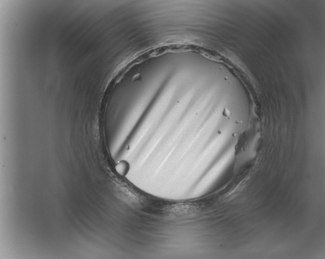 X0000067460834200604281826