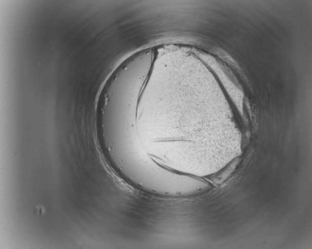 X0000067460836200604281826