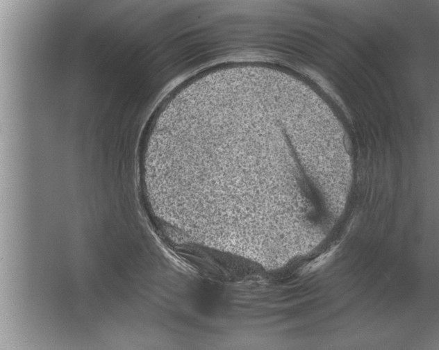 X0000067460837200604281826