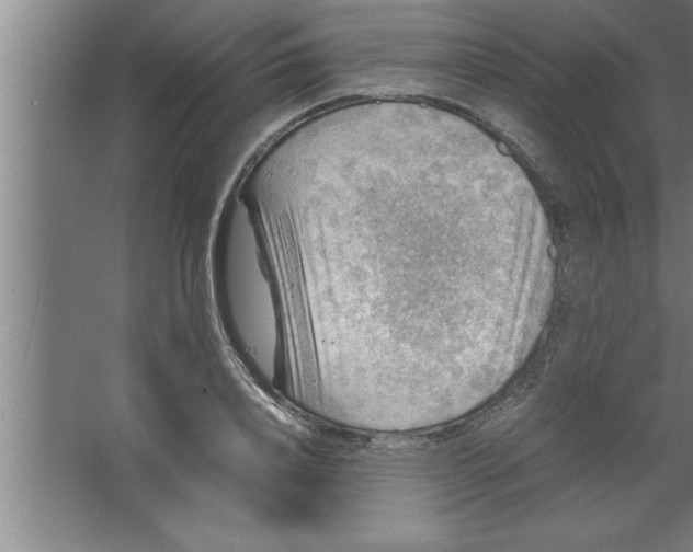 X0000067460840200604281826