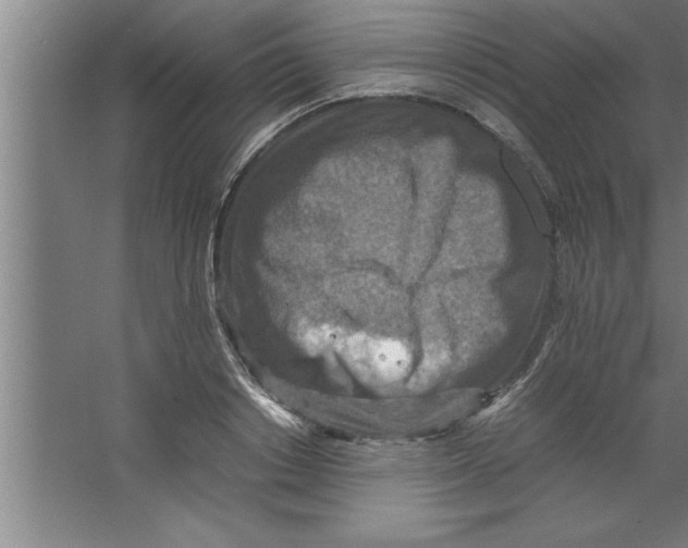 X0000067460842200604281826