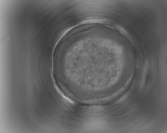 X0000067460844200604281826