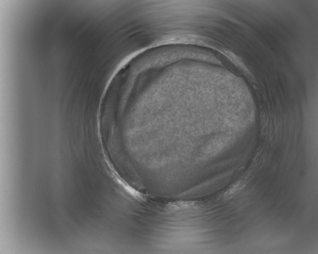 X0000067460846200604281826