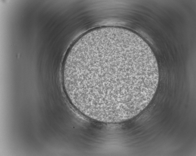 X0000067460848200604281826