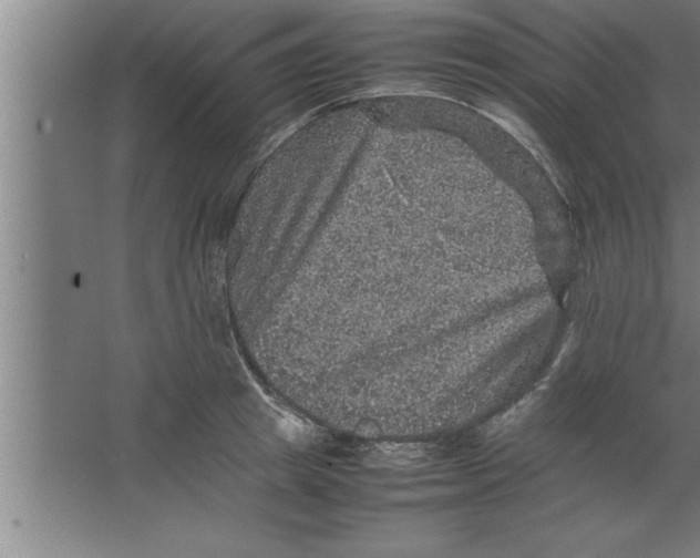 X0000067460849200604281826