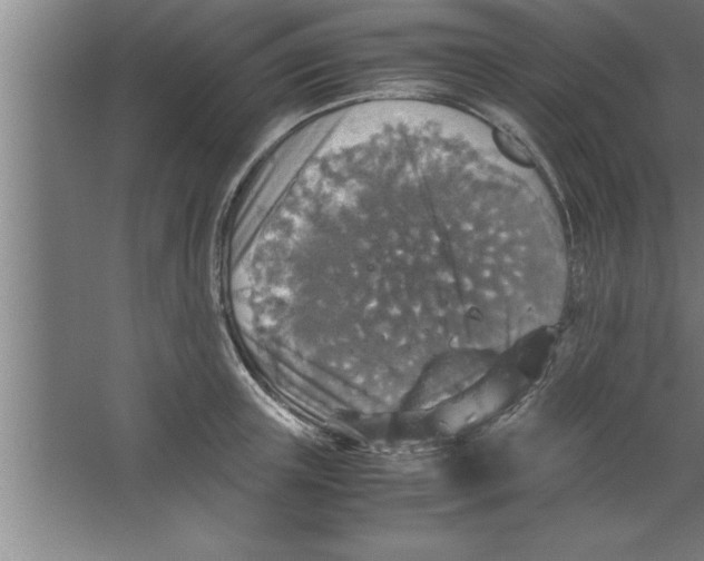 X0000067460851200604281826