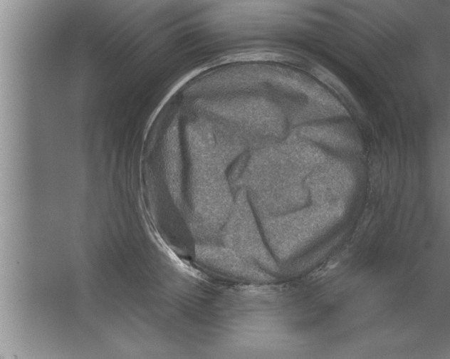 X0000067460852200604281826