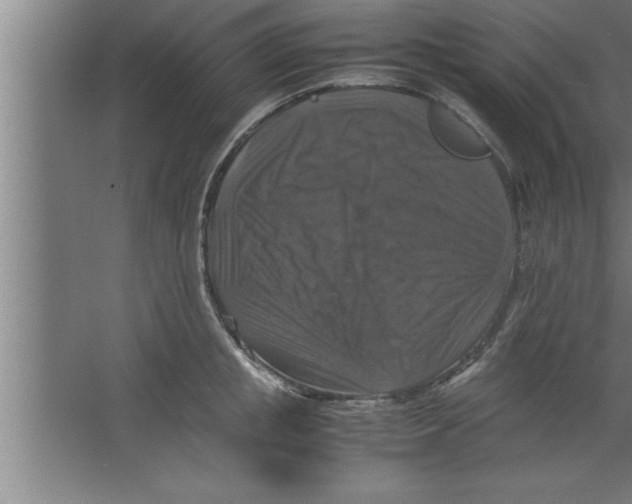 X0000067460853200604281826