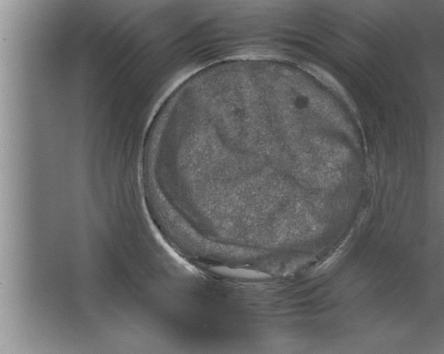 X0000067460855200604281826