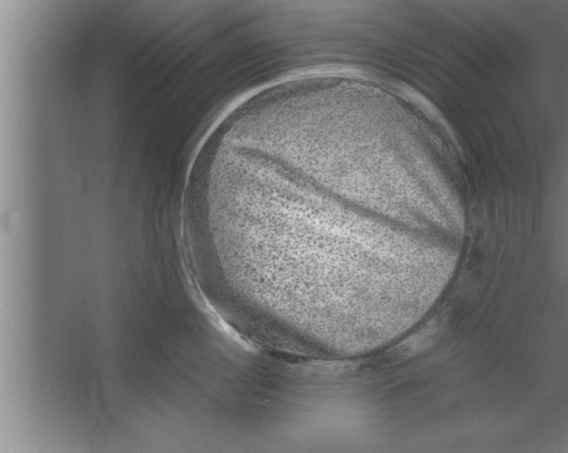 X0000067460860200604281826