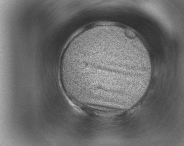 X0000067460861200604281826