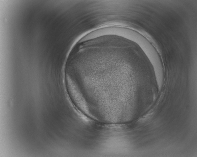 X0000067460862200604281826