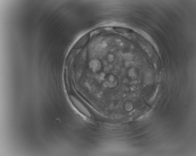 X0000067460863200604281826