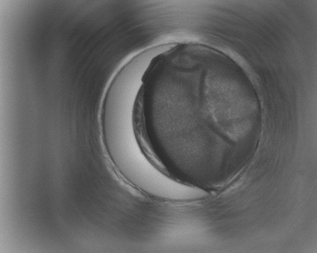 X0000067460864200604281826