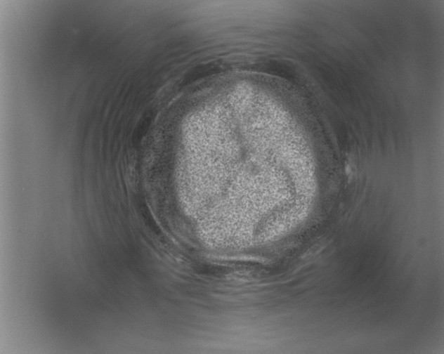 X0000067460867200604281825