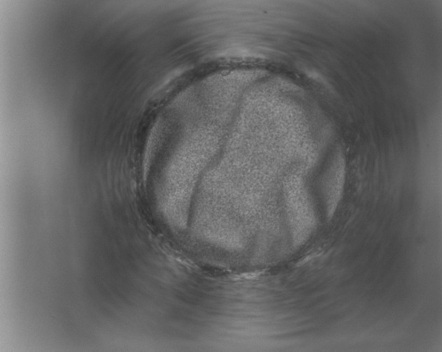 X0000067460870200604281825