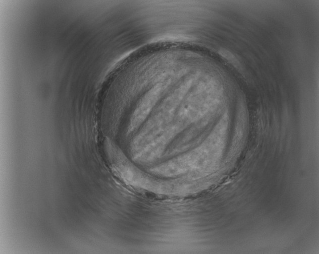 X0000067460872200604281825