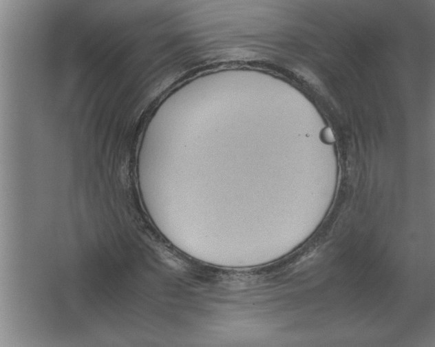 X0000067460873200604281825