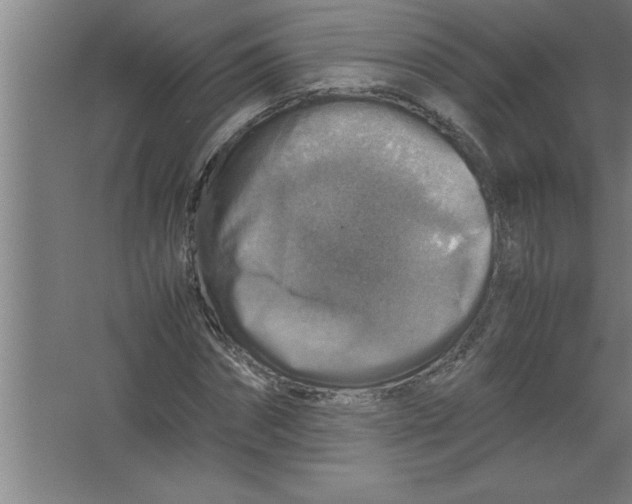 X0000067460874200604281825