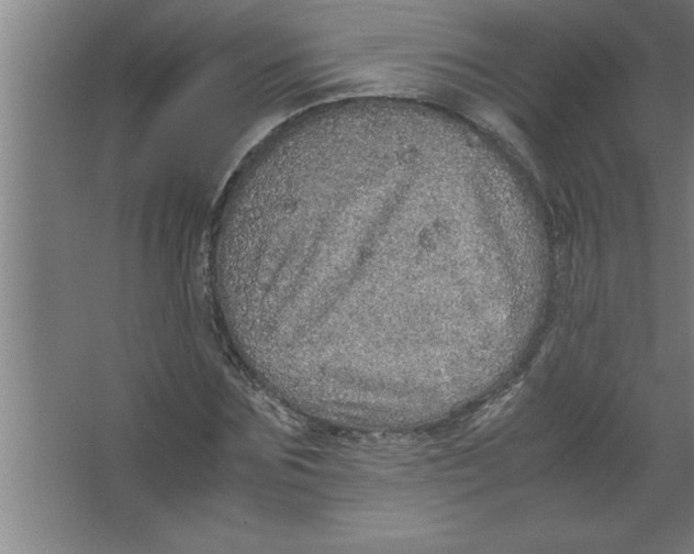 X0000067460875200604281825