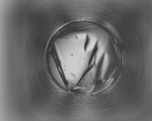 X0000067460876200604281825