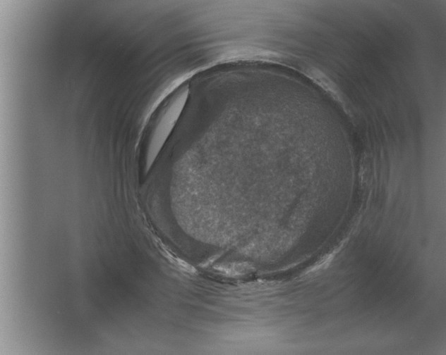 X0000067460877200604281825