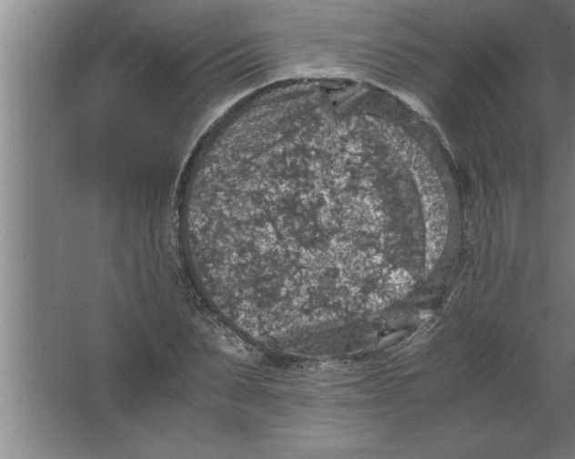 X0000067460879200604281825