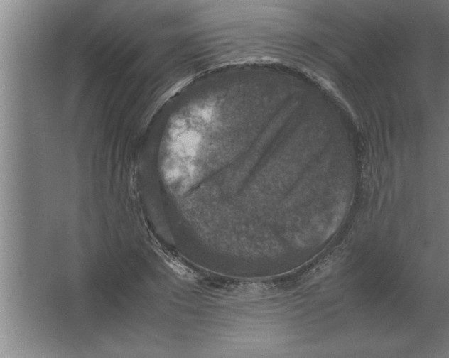 X0000067460881200604281825