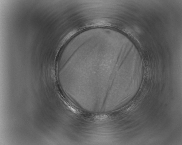 X0000067460882200604281825