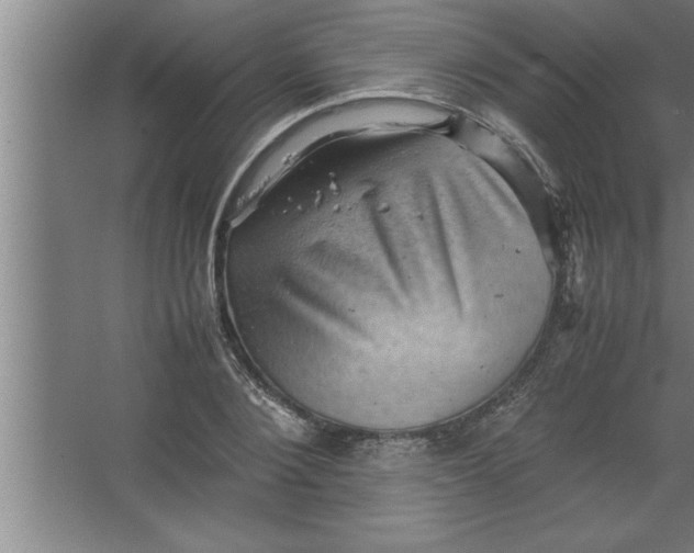 X0000067460884200604281825