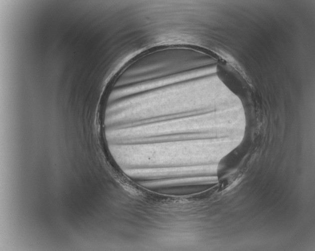 X0000067460885200604281825