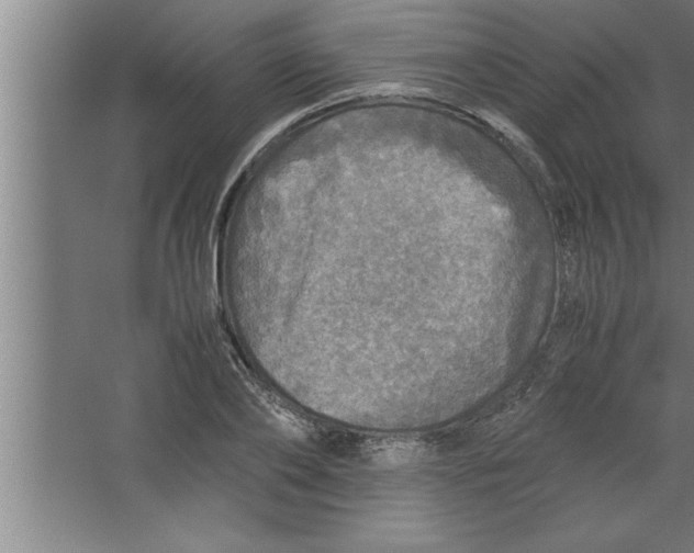 X0000067460886200604281825