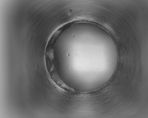 X0000067460888200604281825