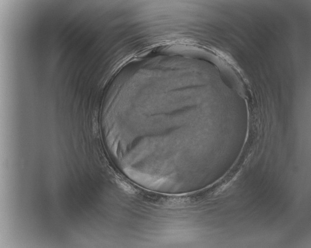 X0000067460889200604281825